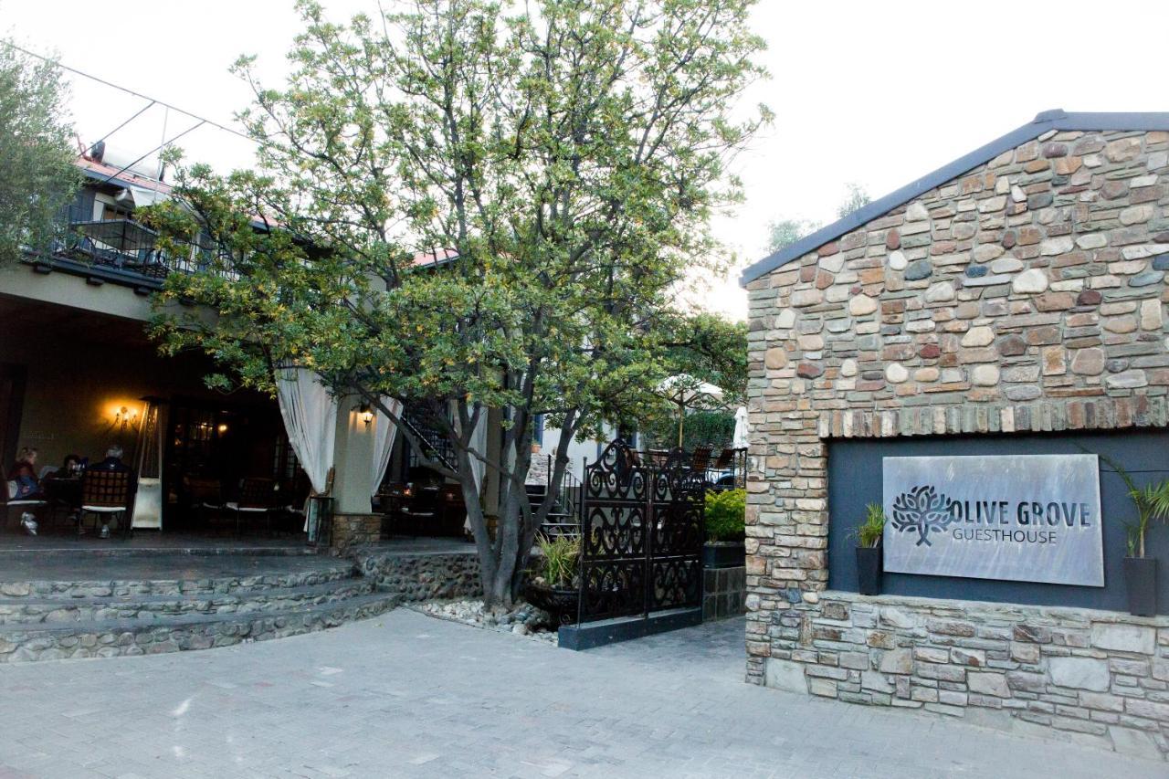 Olive Grove Guesthouse Windhoek Exteriör bild